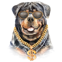 Rottweiler Gold Chain Sticker