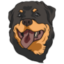 Rottweiler Hand Drawn Sticker