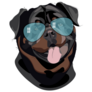 Rottweiler In Glasses Sticker