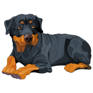 Rottweiler Laying Down Sticker