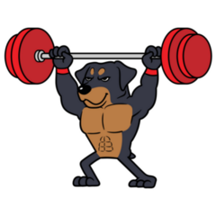Rottweiler Lifting Barbell Sticker