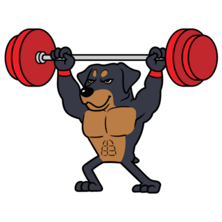 Rottweiler Lifting Barbell Sticker