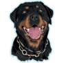 Rottweiler Light Blue Sticker