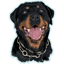 Rottweiler Light Blue Sticker