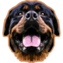 Rottweiler Low Poly Sticker