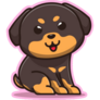 Rottweiler On Pink Sticker