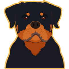 Rottweiler On Yellow Sticker