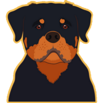 Rottweiler On Yellow Sticker