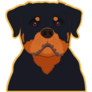 Rottweiler On Yellow Sticker