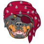 Rottweiler Pirate Sticker