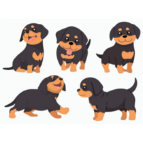 Rottweiler Pup Sticker Sheet