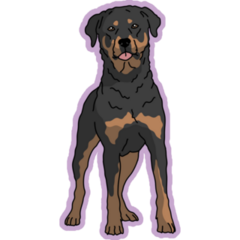 Rottweiler Purple Sticker