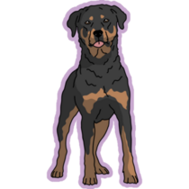 Rottweiler Purple Sticker