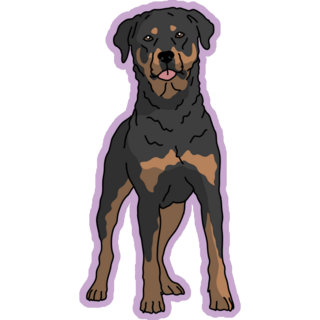 Rottweiler Purple Sticker