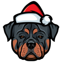 Rottweiler Santa Hat Sticker