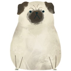 Round Body Pug Sticker