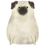 Round Body Pug Sticker