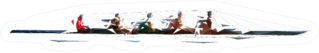 Rowing Low Polygonal Illustration Sticker