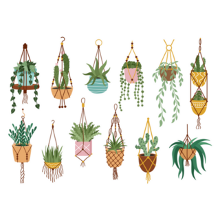 Rows of Hanging Indoor Potted Plants Sticker