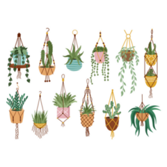 Rows of Hanging Indoor Potted Plants Sticker