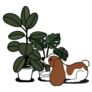Rubber Tree, Monstera and Cute Puppy Sticker