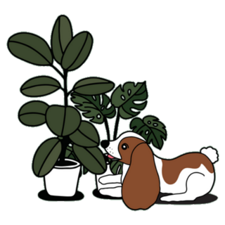 Rubber Tree, Monstera and Cute Puppy Sticker