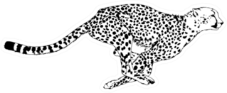 Running Cheetah Drawn With Ink Sticker