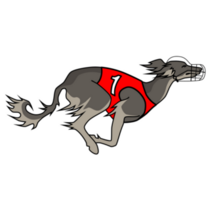 Running Saluki Sticker