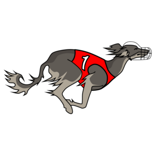 Running Saluki Sticker