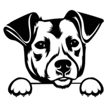 Russell Terrier Peeking Sticker