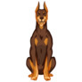 Rust Doberman Sticker