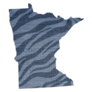 Safari Tiger Skin Print. Of Minnesota Sticker
