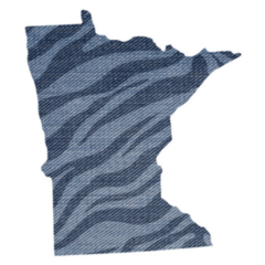 Safari Tiger Skin Print. Of Minnesota Sticker