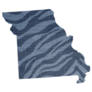 Safari Tiger Skin Print. State Missouri Sticker