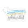 Salt Lake City, Utah Skyline Minimal Stamp Sticker