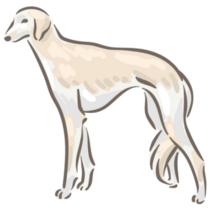 Saluki Breed Stands Sticker