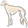 Saluki Breed Stands Sticker