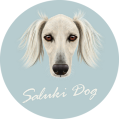 Saluki Dog Blue Sticker