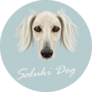 Saluki Dog Blue Sticker