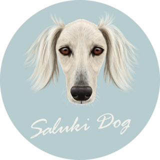 Saluki Dog Blue Sticker