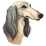 Saluki Dog Face Sticker
