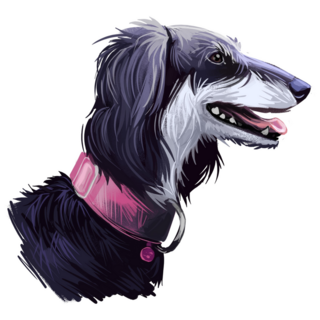 Saluki Dog Portrait Sticker