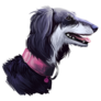 Saluki Dog Portrait Sticker