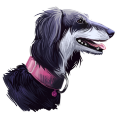 Saluki Dog Portrait Sticker