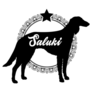 Saluki Dog Star Sticker