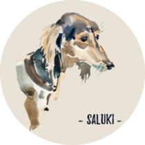 Saluki Hand Drawn Sticker