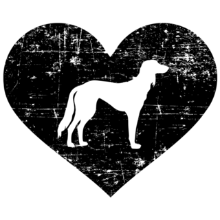 Saluki In Heart Sticker