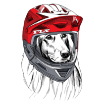 Saluki In Helmet Sticker