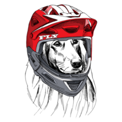 Saluki In Helmet Sticker