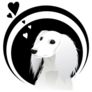 Saluki In Love Sticker
